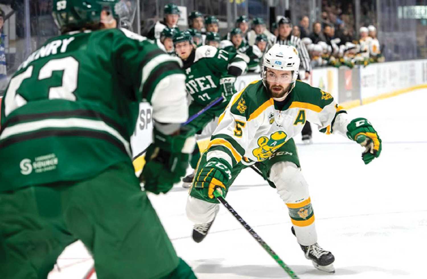 Moosomins Dawson Davidson spent four years playing with the University of Alberta Golden Bears and is now playing with Rungsted Seier in Denmark.